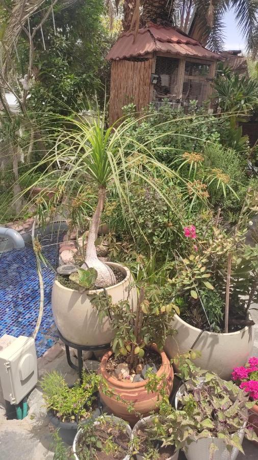 ליליאנה Apartamento Eilat